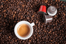 Chef Biologico coffee Caffè Borbone Miscela Decaffeinato Nespresso Compatible Capsules 5g (50 count)
